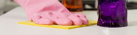 Roehampton Carpet Cleaners Domestic cleaning Roehampton Carpet Cleaners Domestic cleaning