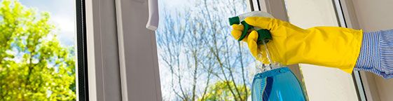 Roehampton Carpet Cleaners Regular cleaning Roehampton Carpet Cleaners Regular cleaning