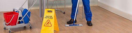 Roehampton Carpet Cleaners Office cleaning Roehampton Carpet Cleaners Office cleaning
