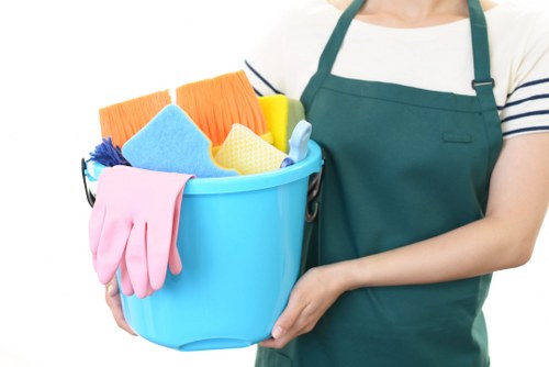Professional carpet cleaning in a bright modern living room