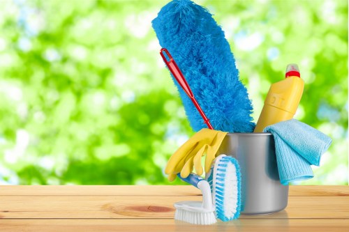 Stain removal service for carpets in Roehampton
