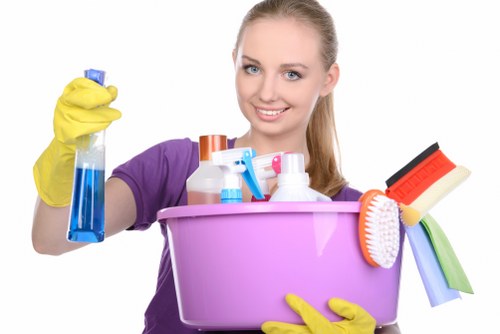 Professional carpet stain treatment in Roehampton