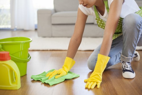 Deep carpet cleaning process removing dirt and odours from fibres